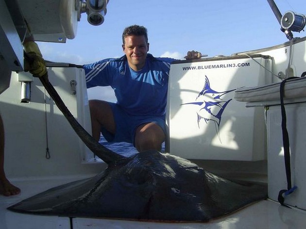 common stingray Cavalier & Blue Marlin Sport Fishing Gran Canaria