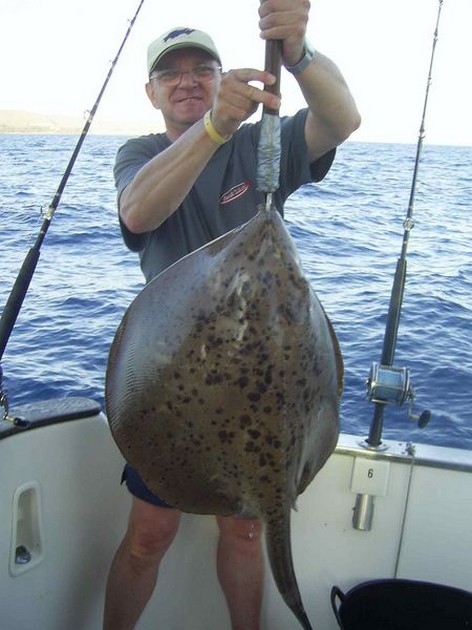 roughtail stingray Cavalier & Blue Marlin Sport Fishing Gran Canaria