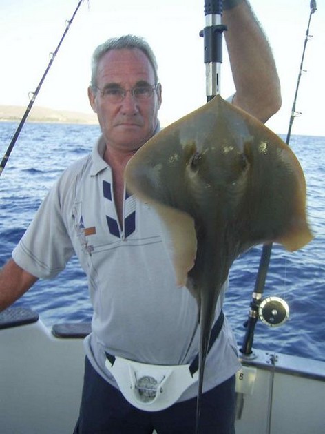 common stingray Cavalier & Blue Marlin Sport Fishing Gran Canaria