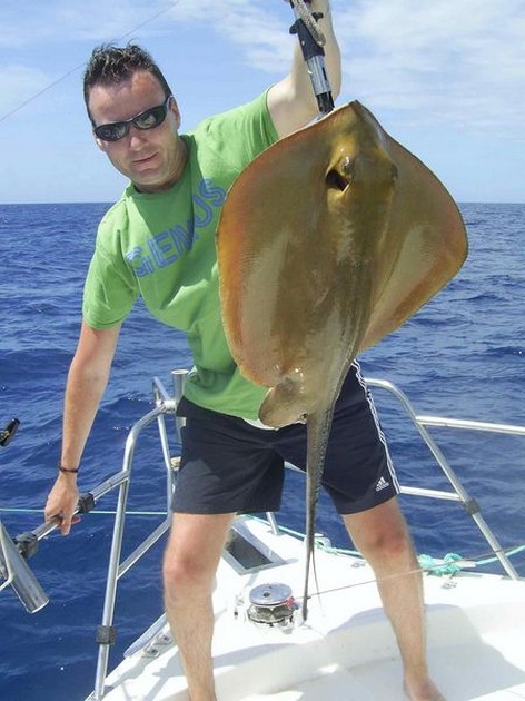 common stingray Cavalier & Blue Marlin Sport Fishing Gran Canaria