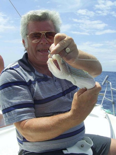 lizard fish Cavalier & Blue Marlin Sport Fishing Gran Canaria