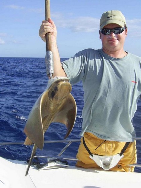 eagle ray Cavalier & Blue Marlin Sport Fishing Gran Canaria