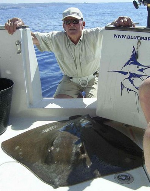 common stingray Cavalier & Blue Marlin Sport Fishing Gran Canaria