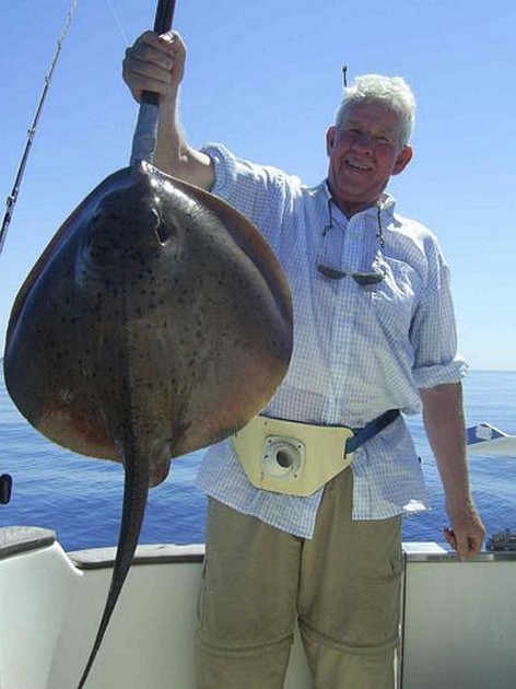 roughtail stingray Cavalier & Blue Marlin Sport Fishing Gran Canaria