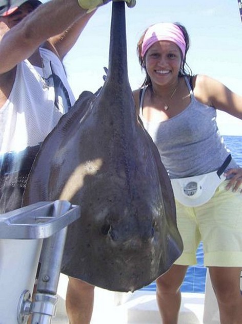 roughtail stingray Cavalier & Blue Marlin Sport Fishing Gran Canaria