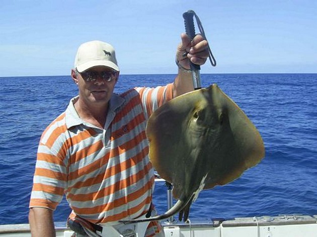common stingray Cavalier & Blue Marlin Sport Fishing Gran Canaria
