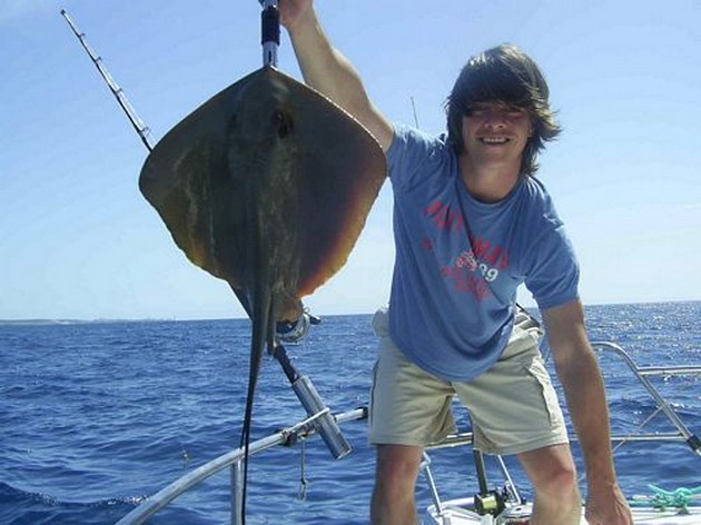 common stingray Cavalier & Blue Marlin Sport Fishing Gran Canaria