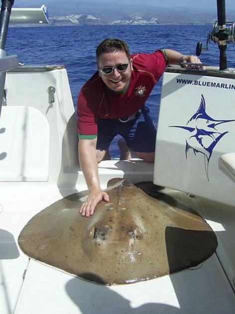 roughtail stingray Cavalier & Blue Marlin Sport Fishing Gran Canaria