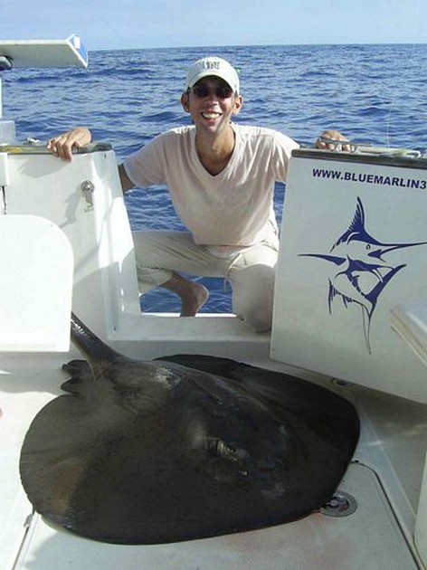 roughtail stingray Cavalier & Blue Marlin Sport Fishing Gran Canaria
