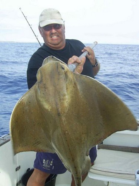 eagle ray Cavalier & Blue Marlin Sport Fishing Gran Canaria