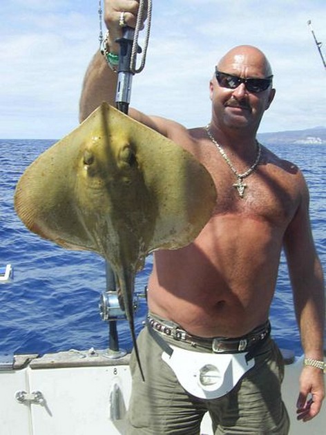 common stingray Cavalier & Blue Marlin Sport Fishing Gran Canaria