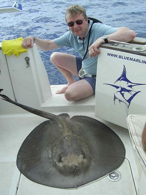 round stingray Cavalier & Blue Marlin Sport Fishing Gran Canaria