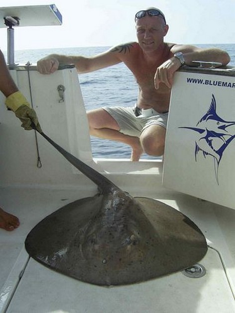 round stingray Cavalier & Blue Marlin Sport Fishing Gran Canaria