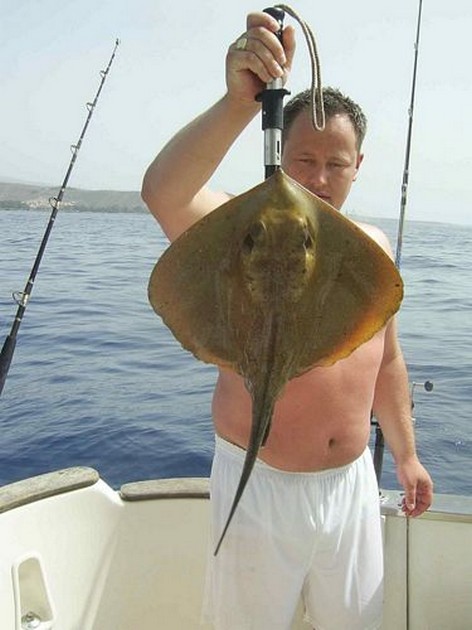 common stingray Cavalier & Blue Marlin Sport Fishing Gran Canaria