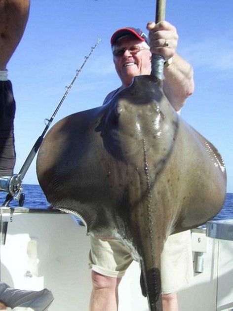 roughtail stingray Cavalier & Blue Marlin Sport Fishing Gran Canaria