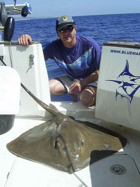 common stingray Cavalier & Blue Marlin Sport Fishing Gran Canaria