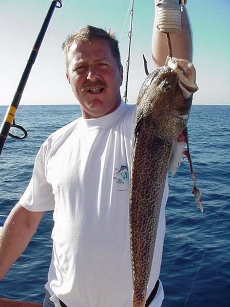 11/01 steaked weever Cavalier & Blue Marlin Sport Fishing Gran Canaria