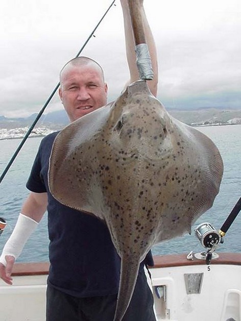 12/01 roughtail stingray Cavalier & Blue Marlin Sport Fishing Gran Canaria
