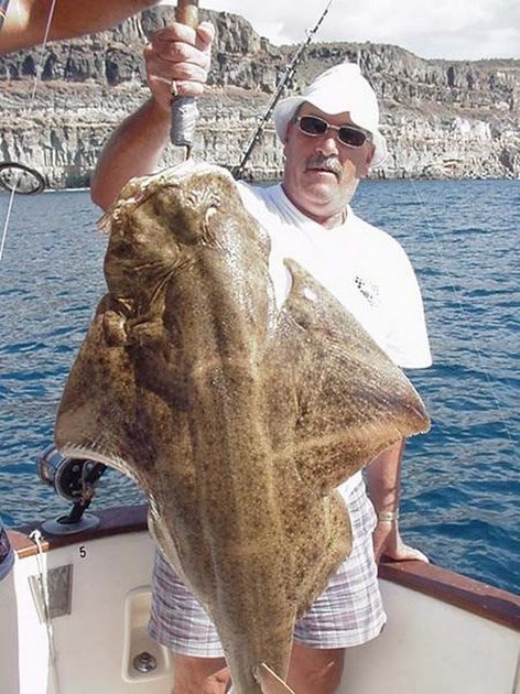 18/01 angelshark Cavalier & Blue Marlin Sport Fishing Gran Canaria