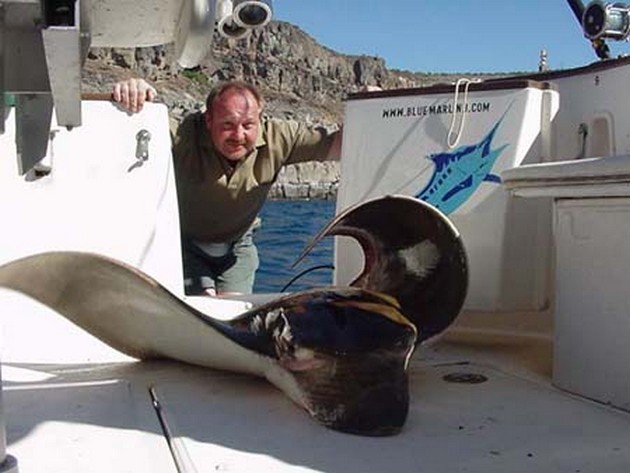 19/01 duckbill ray Cavalier & Blue Marlin Sport Fishing Gran Canaria