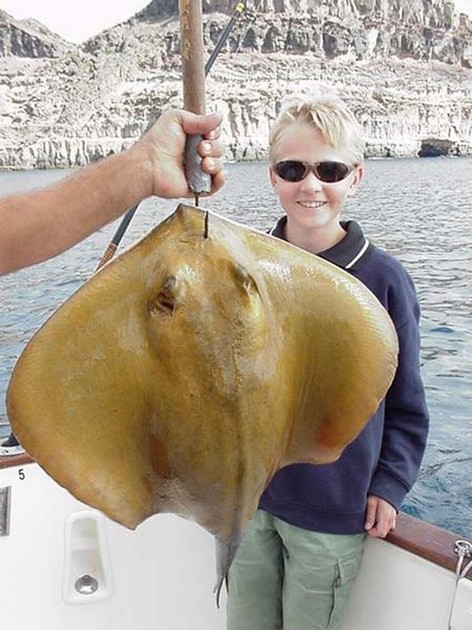 21/01 common stingray Cavalier & Blue Marlin Sport Fishing Gran Canaria