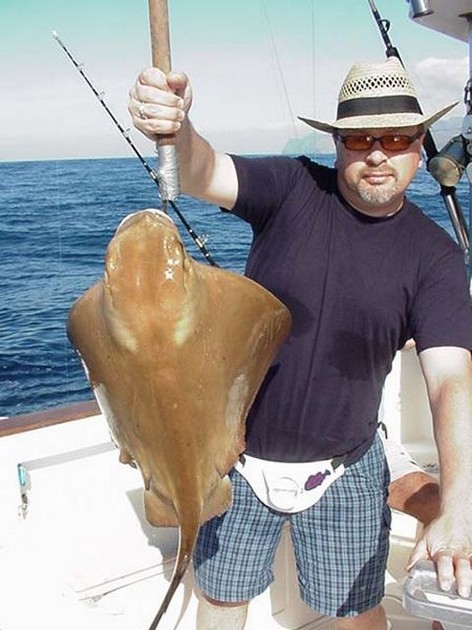 24/01 eagle ray Cavalier & Blue Marlin Sport Fishing Gran Canaria