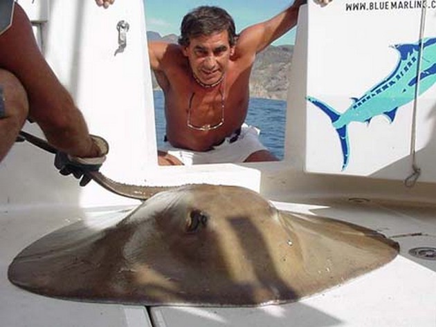 25/01 round stingray Cavalier & Blue Marlin Sport Fishing Gran Canaria