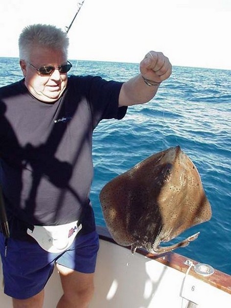 26/01 madeira ray Cavalier & Blue Marlin Sport Fishing Gran Canaria