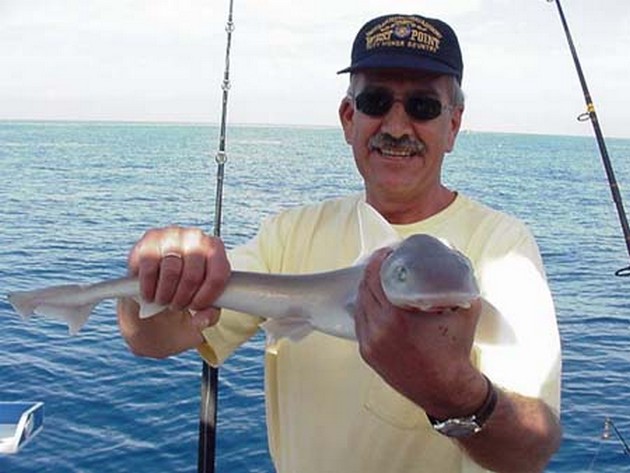 29/01 smooth hound Cavalier & Blue Marlin Sport Fishing Gran Canaria