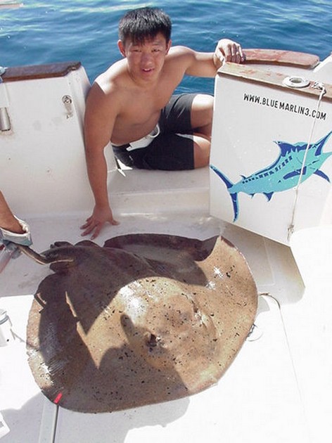 07/02 round stingray Cavalier & Blue Marlin Sport Fishing Gran Canaria