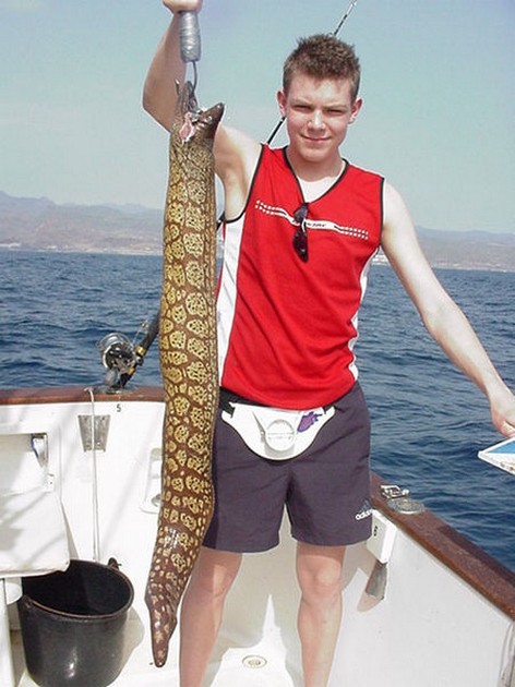 13/02 tiger moray Cavalier & Blue Marlin Sport Fishing Gran Canaria