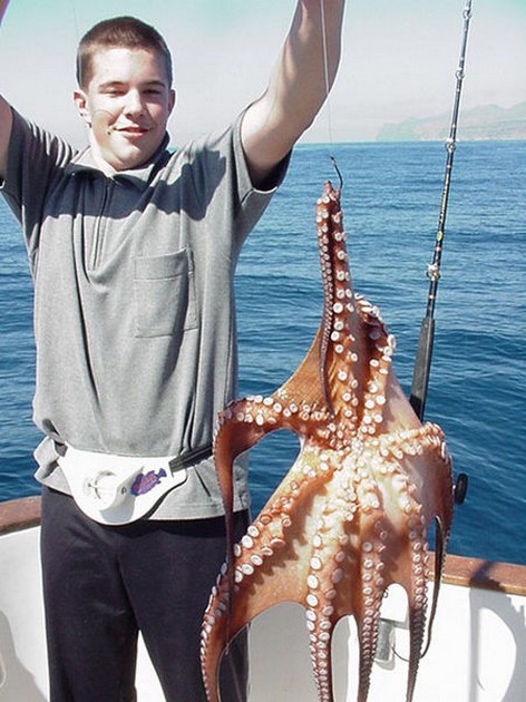 18/02 octopus Cavalier & Blue Marlin Sport Fishing Gran Canaria