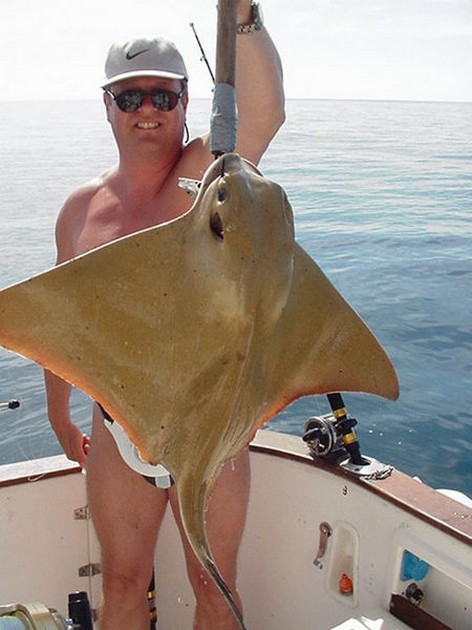 19/02 eagle ray Cavalier & Blue Marlin Sport Fishing Gran Canaria