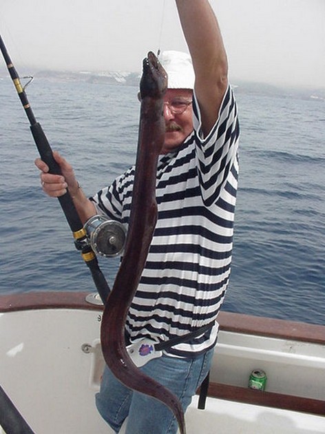 01/03 brown moray Cavalier & Blue Marlin Sport Fishing Gran Canaria