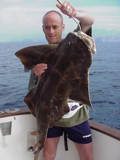 01/04 angel shark Cavalier & Blue Marlin Sport Fishing Gran Canaria