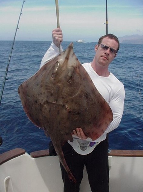 02/04 blonde ray Cavalier & Blue Marlin Sport Fishing Gran Canaria