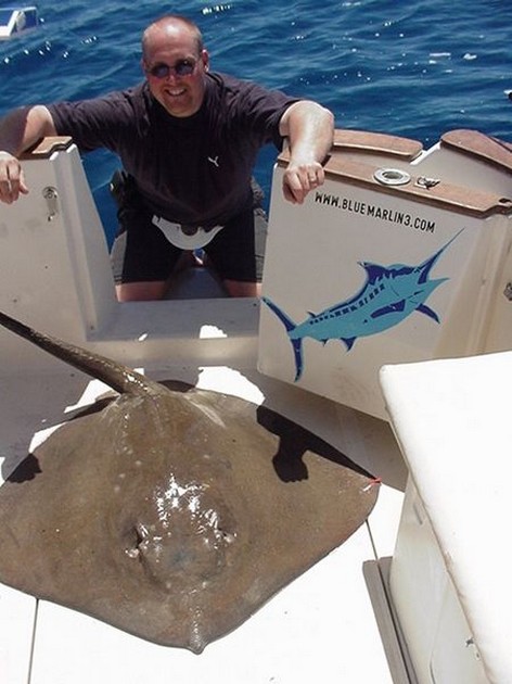 08/04 common stingray Cavalier & Blue Marlin Sport Fishing Gran Canaria