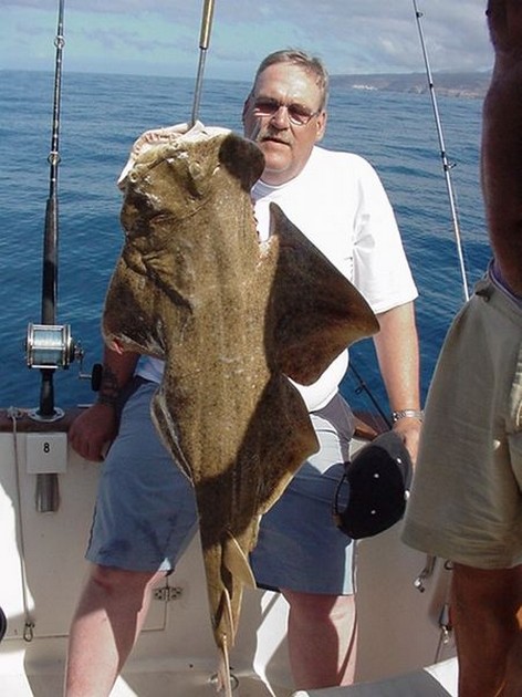 18/04 angel shark Cavalier & Blue Marlin Sport Fishing Gran Canaria
