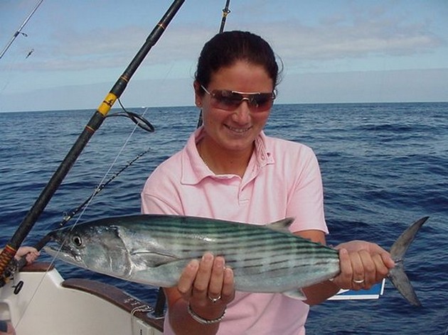 19/04 north atlantic bonito Cavalier & Blue Marlin Sport Fishing Gran Canaria