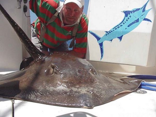 27/04 common stingray Cavalier & Blue Marlin Sport Fishing Gran Canaria