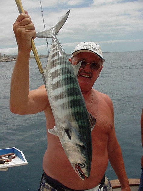 02/05 north atlantic bonito Cavalier & Blue Marlin Sport Fishing Gran Canaria