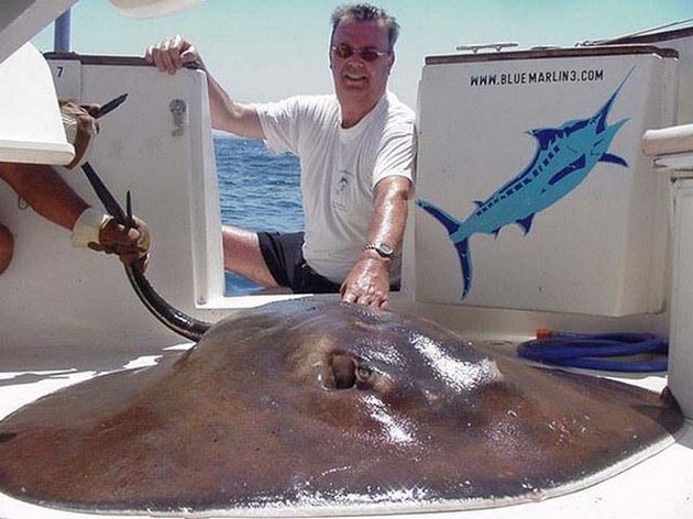 17/05 round stingray Cavalier & Blue Marlin Sport Fishing Gran Canaria