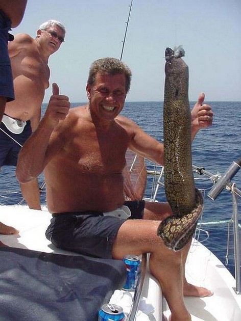 22/05 tiger moray Cavalier & Blue Marlin Sport Fishing Gran Canaria