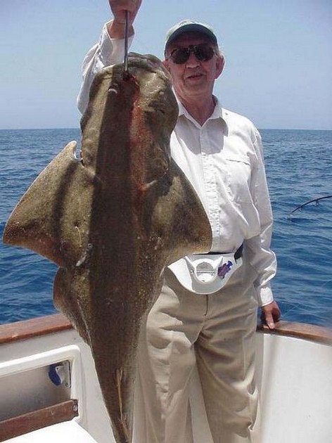 23/05 angel shark Cavalier & Blue Marlin Sport Fishing Gran Canaria