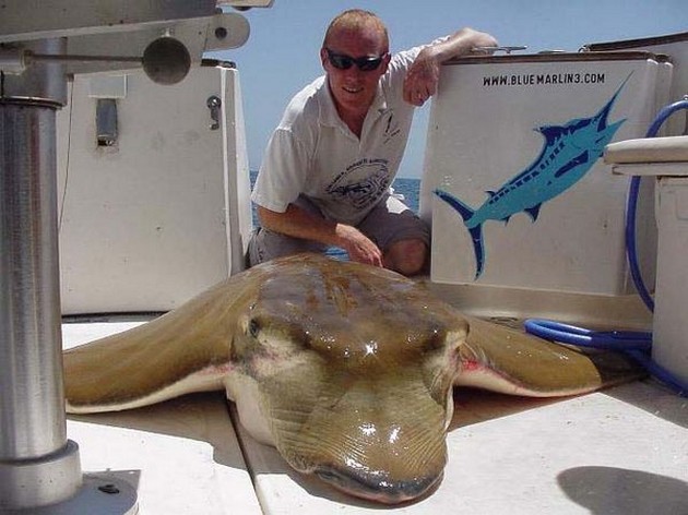 24/05 duckbill ray Cavalier & Blue Marlin Sport Fishing Gran Canaria