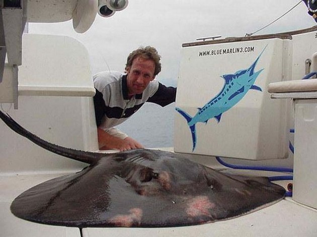 30/05 round stingray Cavalier & Blue Marlin Sport Fishing Gran Canaria