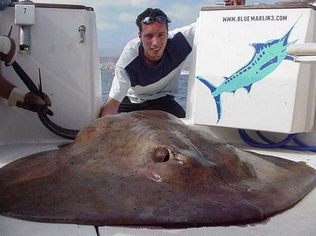 31/05 round stingray Cavalier & Blue Marlin Sport Fishing Gran Canaria