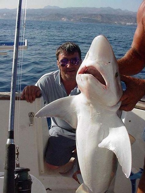 10/06 tope Cavalier & Blue Marlin Sport Fishing Gran Canaria