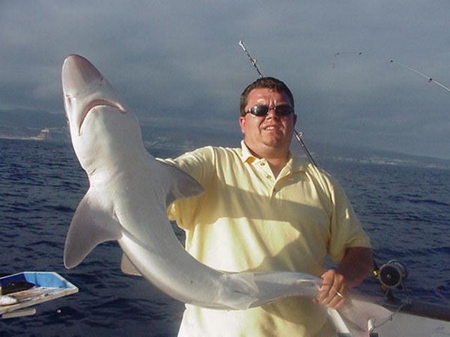 23/06 tope Cavalier & Blue Marlin Sport Fishing Gran Canaria