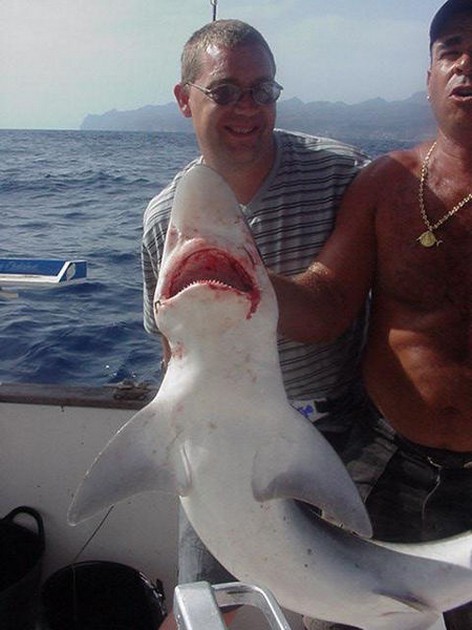 25/06 tope Cavalier & Blue Marlin Sport Fishing Gran Canaria